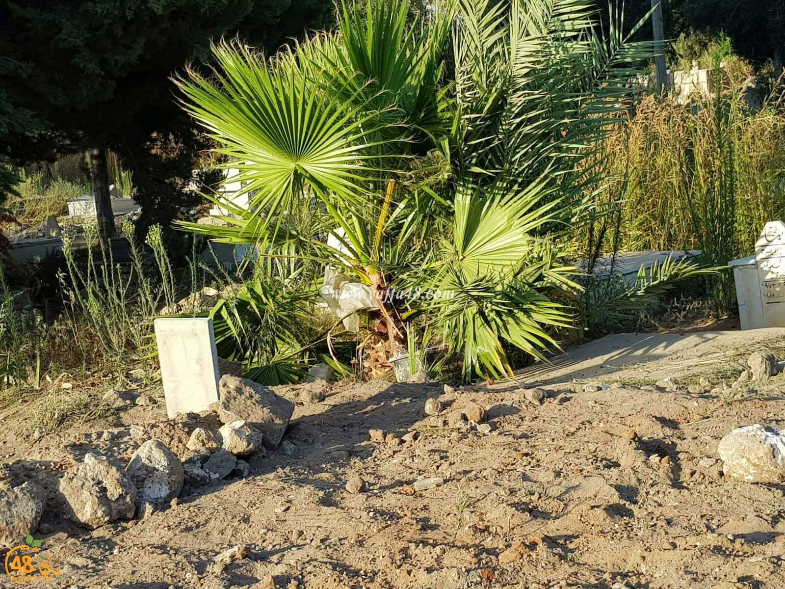 ramla maqbaraja (3).jpg